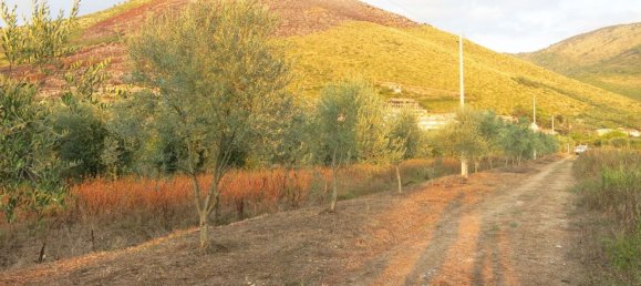 2050m² Land in Fondi, Italy No. 147520 20