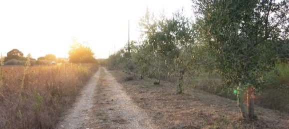 2050m² Land in Fondi, Italy No. 147520 8