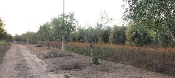 2050m² Land in Fondi, Italy No. 147520 7