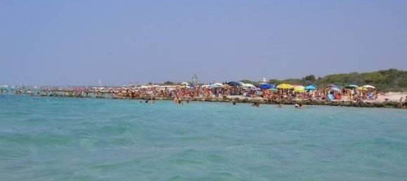 2 rooms House in Corsano, Italy No. 118755 18