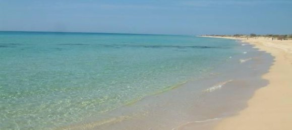 2 rooms House in Corsano, Italy No. 118755 14