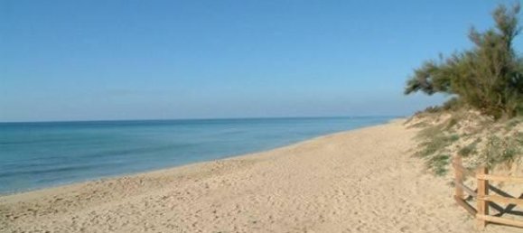 2 rooms House in Corsano, Italy No. 118755 10