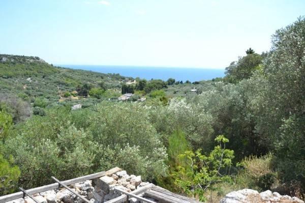 2 rooms House in Corsano, Italy No. 118755