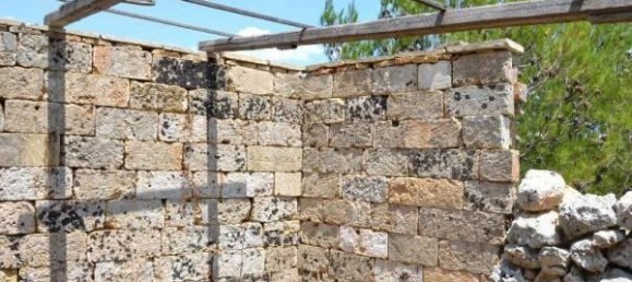 2 rooms House in Corsano, Italy No. 118755 7