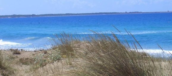 2 rooms House in Corsano, Italy No. 118755 16