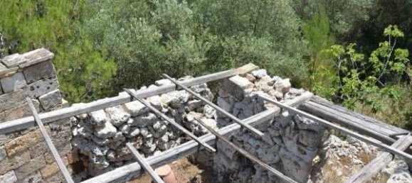 2 rooms House in Corsano, Italy No. 118755 4