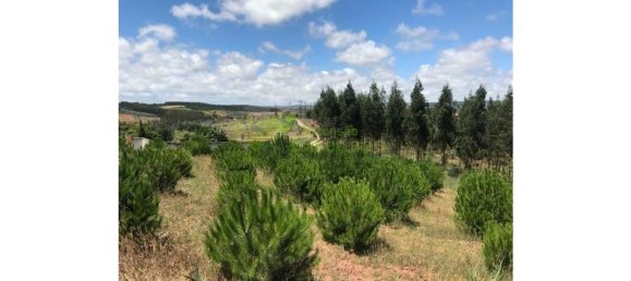 Terrain à Lourinha, Portugal 4764m² No. 96788 4