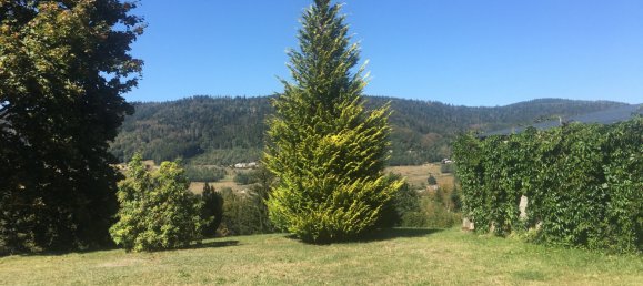 Villa de 4 dormitorios en Remiremont, France No. 91184 14