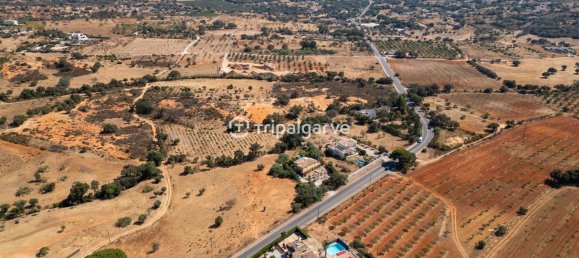 5 Schlafzimmer Villa in Guia, Portugal, Nr. 309217 7