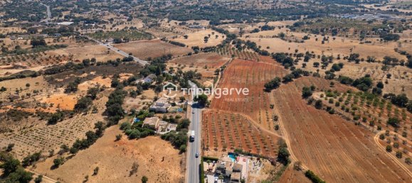 5 Schlafzimmer Villa in Guia, Portugal, Nr. 309217 6