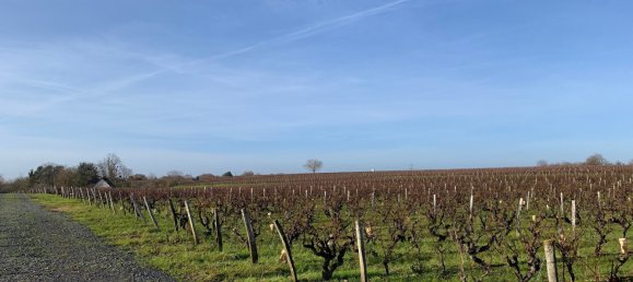 2 chambres Maison à Vernou-sur-Brenne, France No. 39583 4