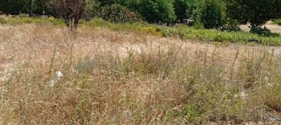 712m² Land in Alcacer do Sal, Portugal No. 144500 3