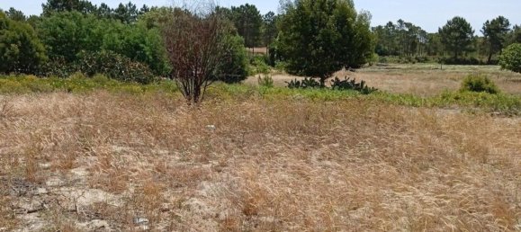 712m² Land in Alcacer do Sal, Portugal No. 144500 13