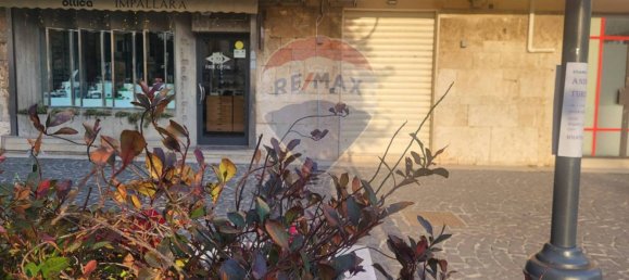 1 room Commercial property in Anzio, Italy No. 124243 5