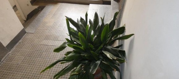 2 rooms Apartment in Viterbo, Italy No. 101928 46