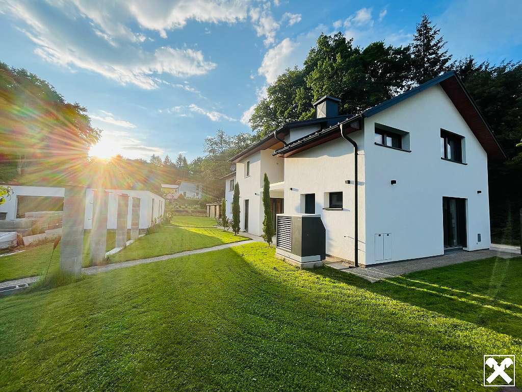 7 rooms House in Wilhelmsburg, Austria No. 86543