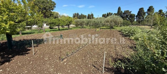 2 bedrooms Villa in Syracuse, Italy No. 352739 45