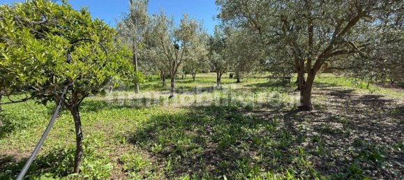 2 bedrooms Villa in Syracuse, Italy No. 352739 48