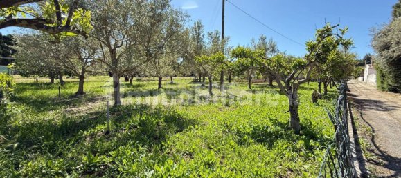 2 bedrooms Villa in Syracuse, Italy No. 352739 49