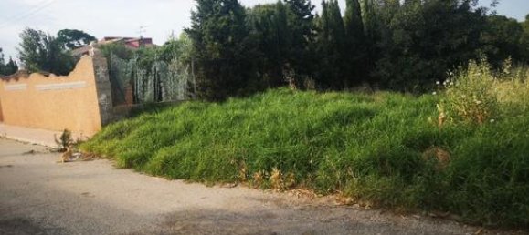 Terrain à Valencia, Spain 817m² No. 166033 5