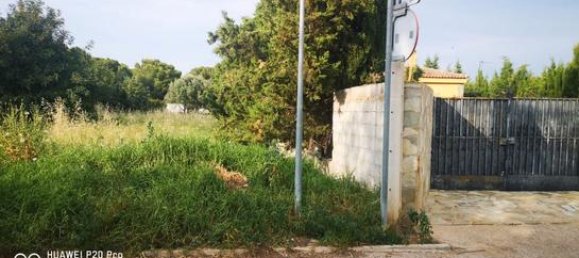 Terrain à Valencia, Spain 817m² No. 166033 3