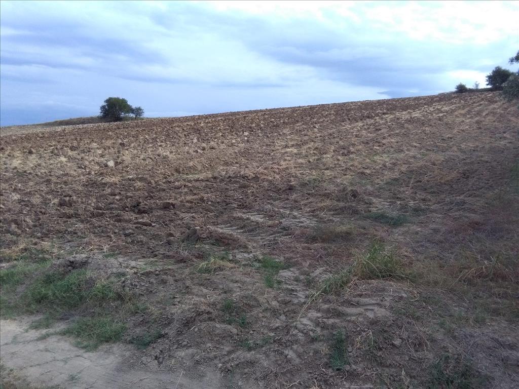 16313m² Hotel in Thessaloniki, Greece No. 5789