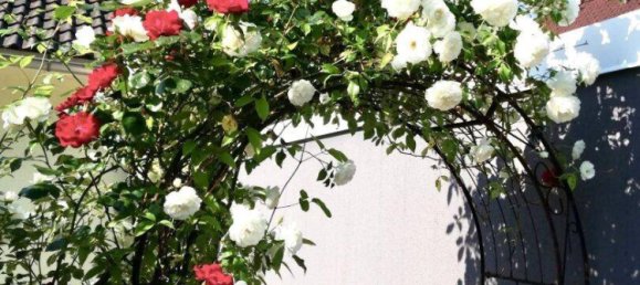 4 rooms Bungalow in Wels, Austria No. 213575 34