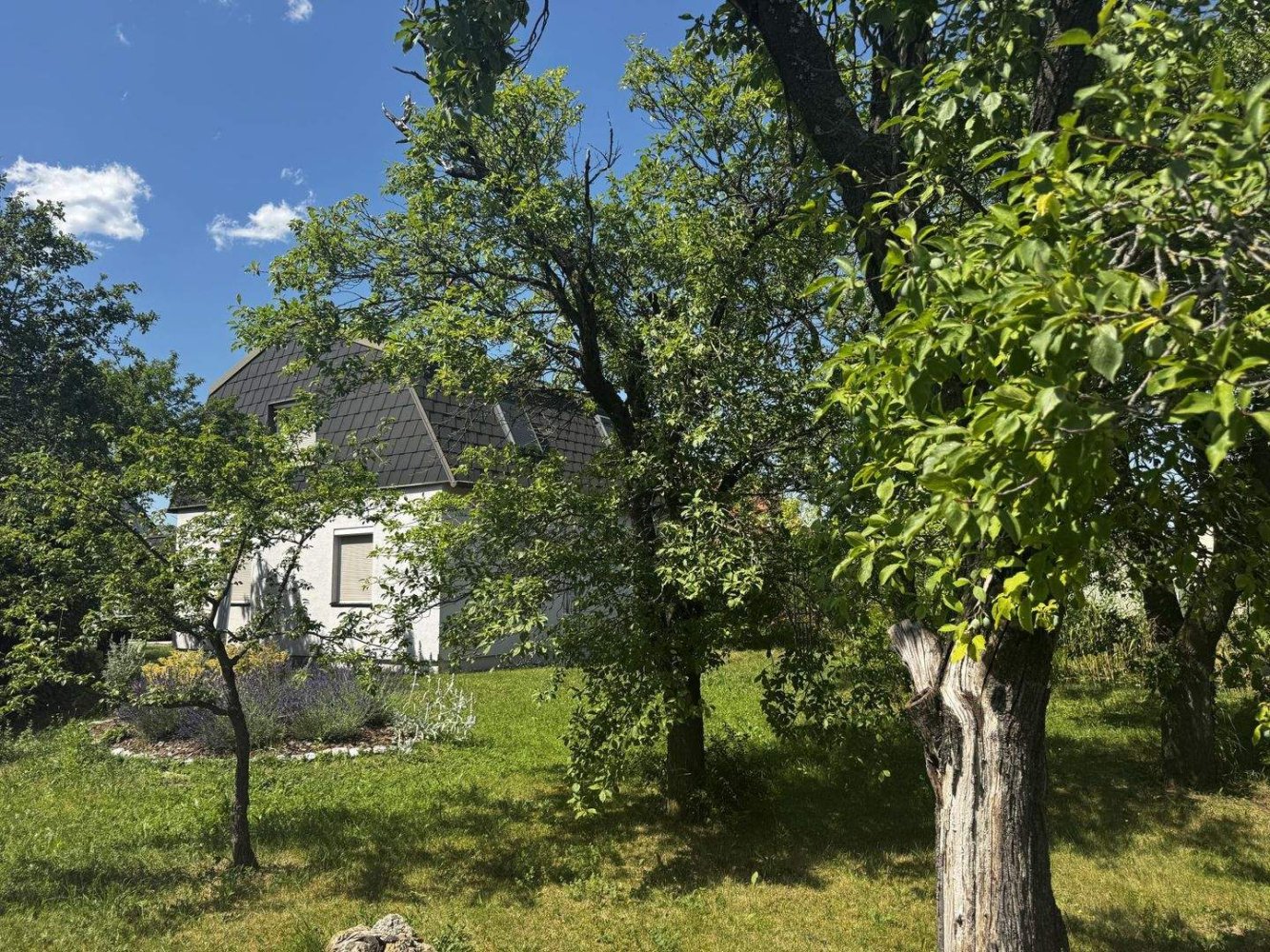 Дом с 4 комнатами в Нойнкирхен, Австрия № 256841