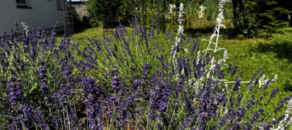 Дом с 4 комнатами в Нойнкирхен, Австрия № 256841 4