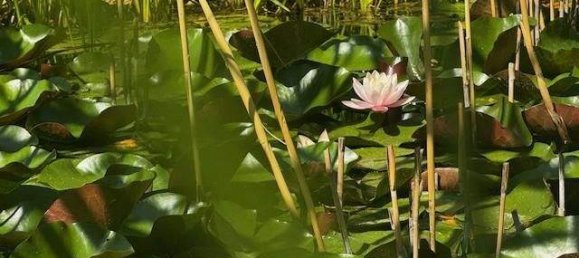 Дом с 4 комнатами в Нойнкирхен, Австрия № 256841 3