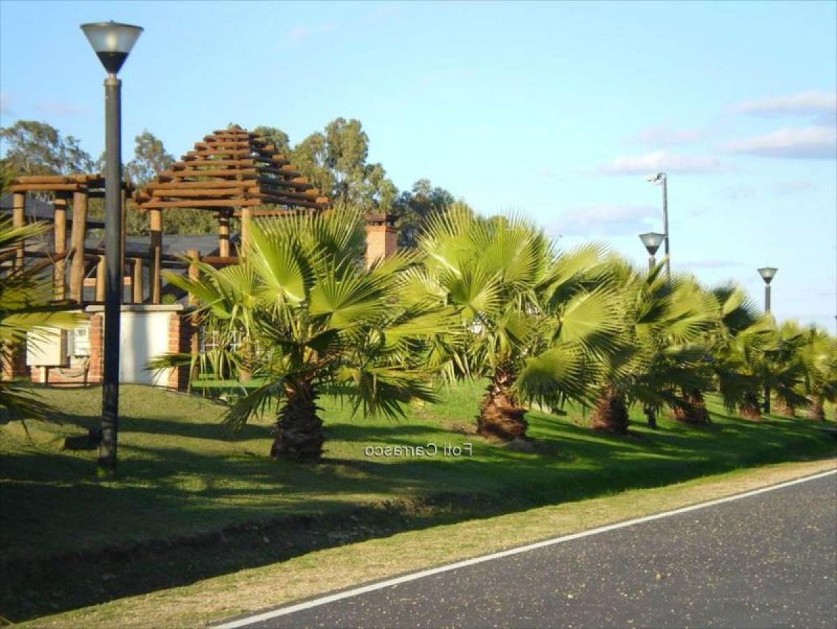  Land in Canelones, Uruguay No. 14730