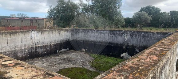 3 Schlafzimmer Haus in Borba, Portugal, Nr. 162011 22