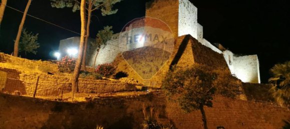 26-salle Châteaux à Piazza Armerina, Italy No. 108317 15