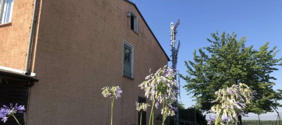 Propiedad comercial en Leipzig, Germany 800 m² No. 369223 3