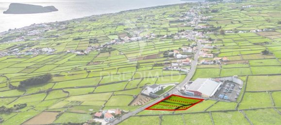 3 chambres Maison à Porto Judeu, Portugal No. 37747 7