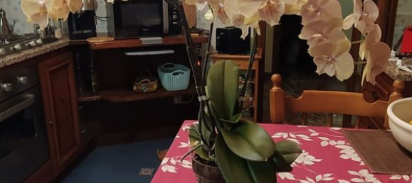 Apartamento de 4 divisões em Grosseto, Italy N.º 257596 2