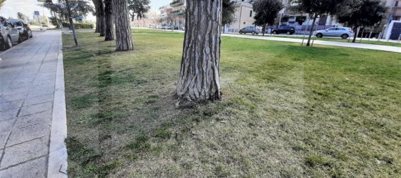 3 rooms Apartment in Capurso, Italy No. 23790 4