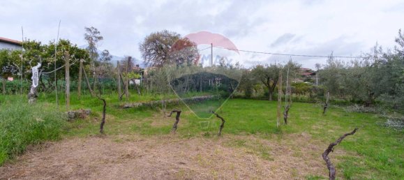 6-Zimmer Villa in Viagrande, Italy, Nr. 34926 14