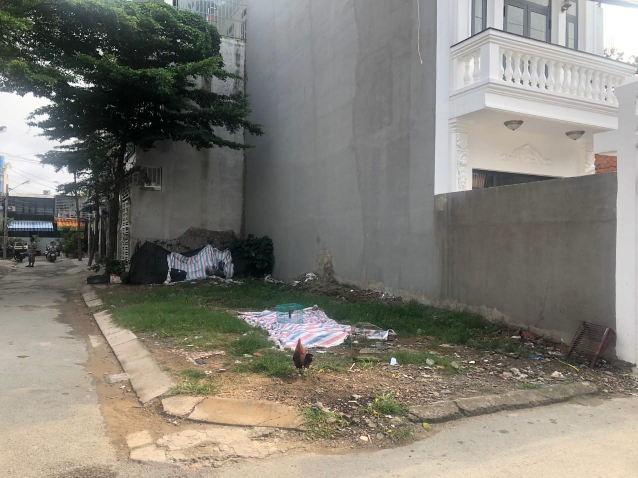  قطعة أرض في Nha Be, Vietnam 56متر مربع رقم 7725