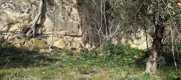 8-Zimmer Villa in Torre de' Passeri, Italy, Nr. 182636 5