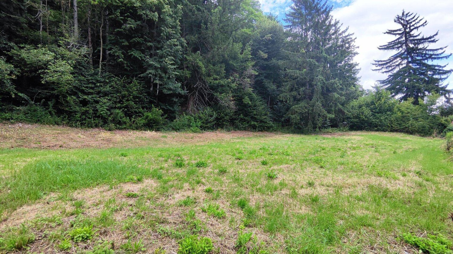 Grundstück in Neunkirchen, Austria 1019m², Nr. 192716