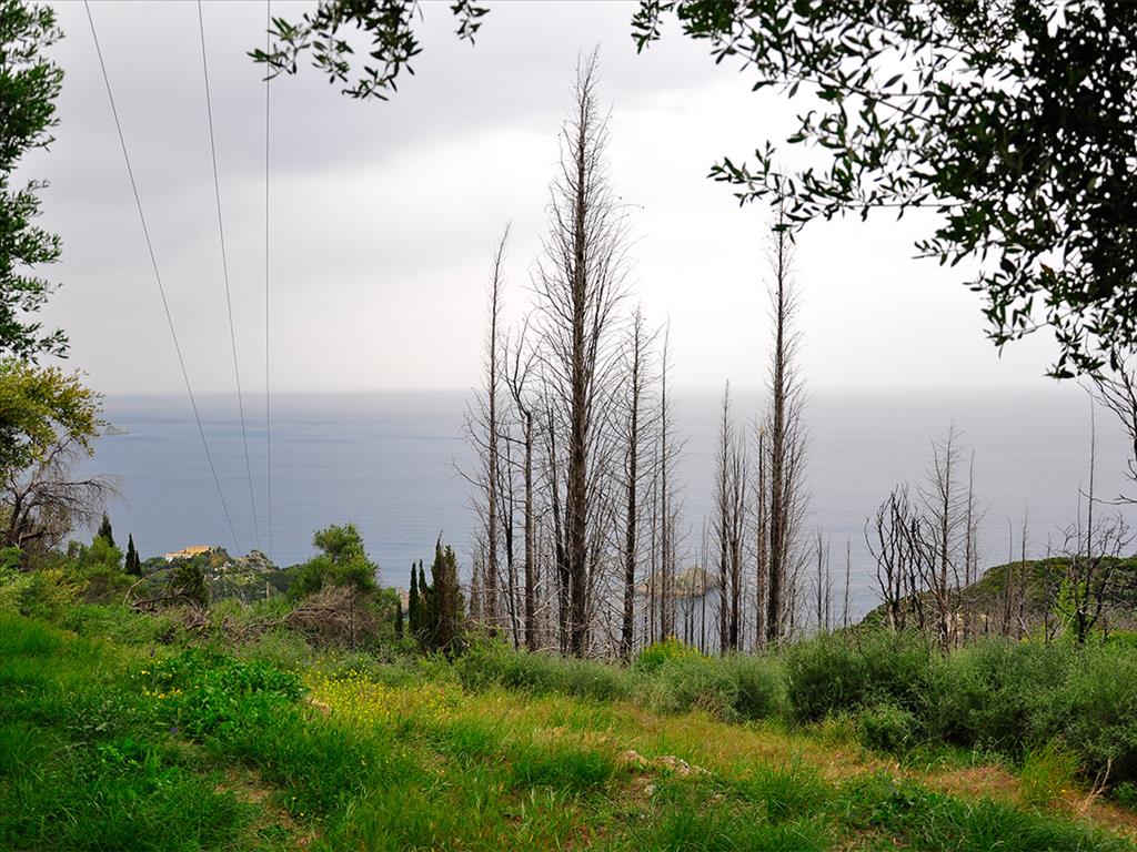 2500m² Hotel in Corfu, Greece No. 7901