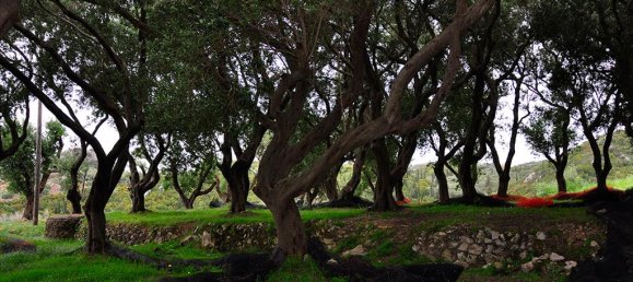 2500m² Hotel in Corfu, Greece No. 7901 2