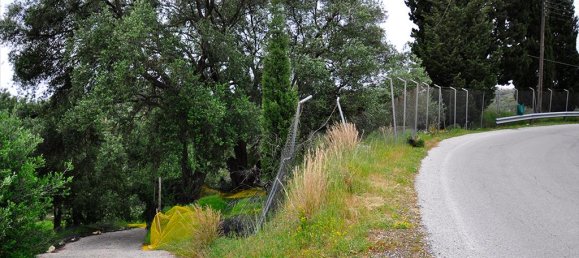 2500m² Hotel in Corfu, Greece No. 7901 4