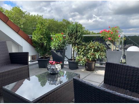 3-salle Duplex à Solingen, Germany No. 62370