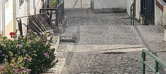 4 bedrooms House in Alcacer do Sal, Portugal No. 20054 3