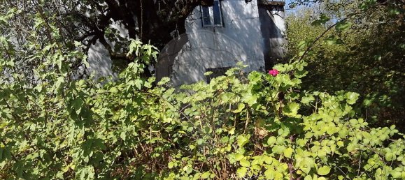 3 bedrooms House in Ansiao, Portugal No. 32534 4