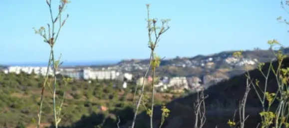 Terrain à Mijas, Spain No. 106835 12