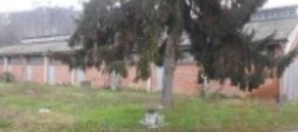 Imóvel comercial de 1 divisão em Rocca d'Arazzo, Italy N.º 330725 5