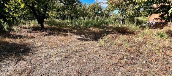 522m² Land in Caceres, Spain No. 179715 4